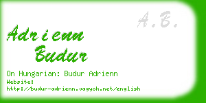 adrienn budur business card